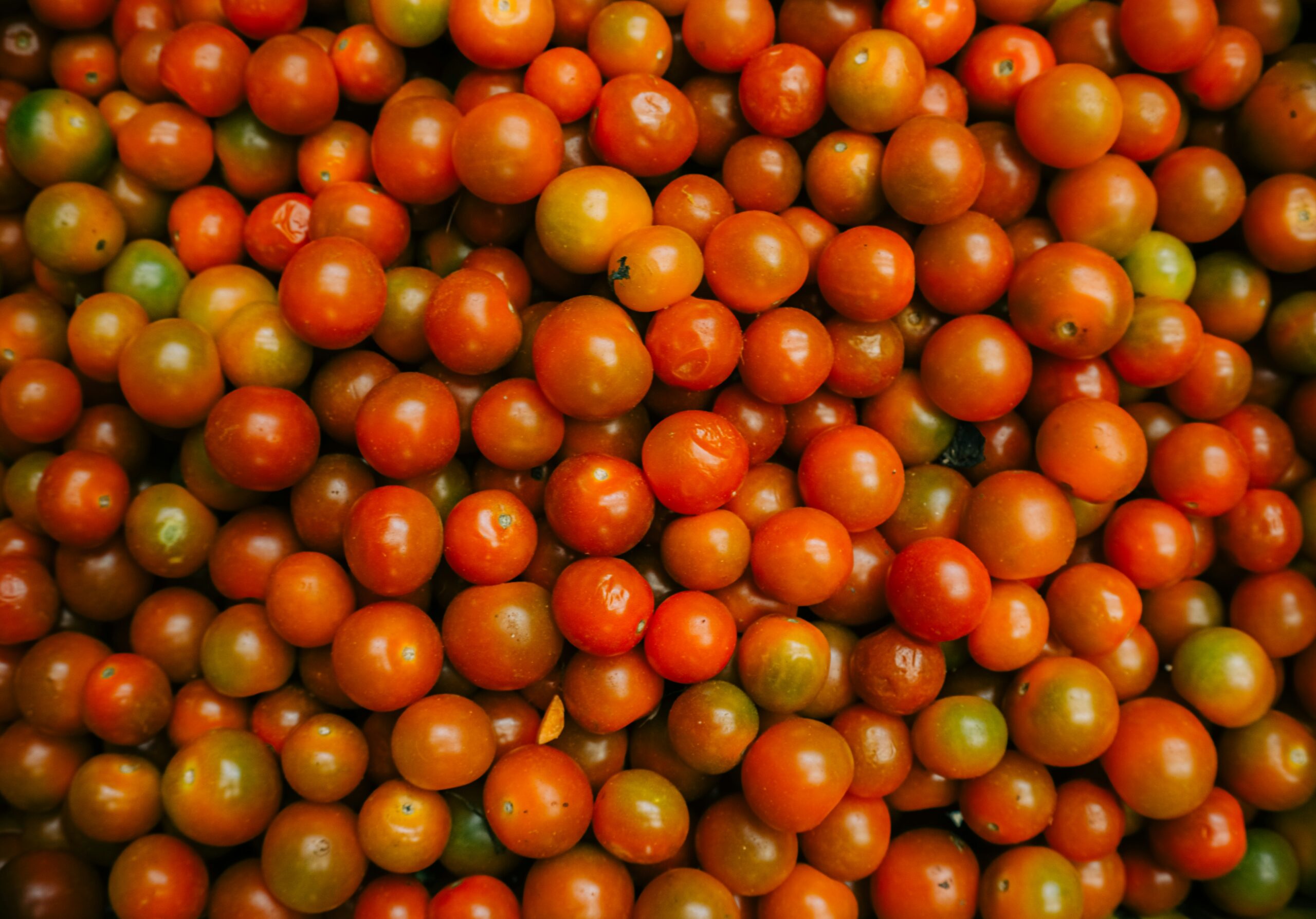 A pile of tomatoes